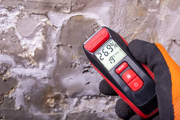Best Affordable Mold Removal  in Cascade Locks, OR