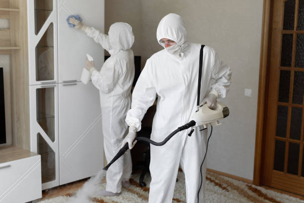 Certified Mold Removal in Cascade Locks, OR