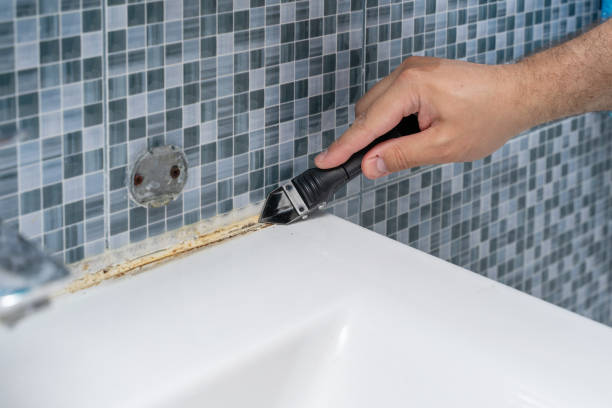 Mold Removal and Inspection in Cascade Locks, OR