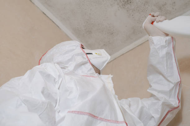 Trusted Cascade Locks, OR Mold Removal Experts