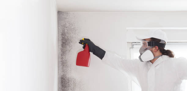 Best Crawl Space Mold Removal  in Cascade Locks, OR