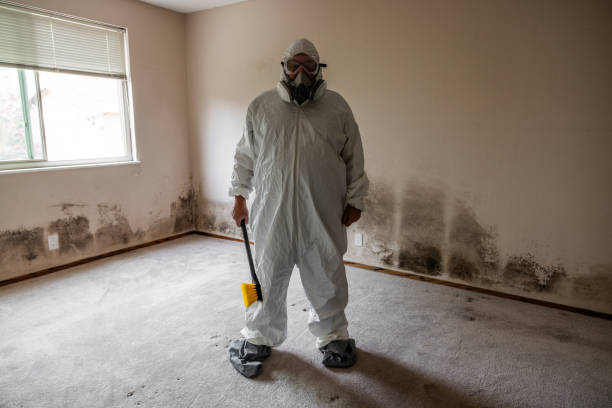 Best Professional Mold Removal  in Cascade Locks, OR